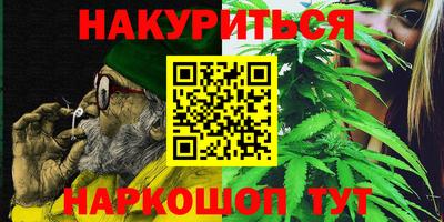 прущие грибы Краснодар