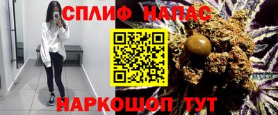 прущие грибы Краснодар