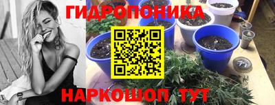 СК Краснокаменск