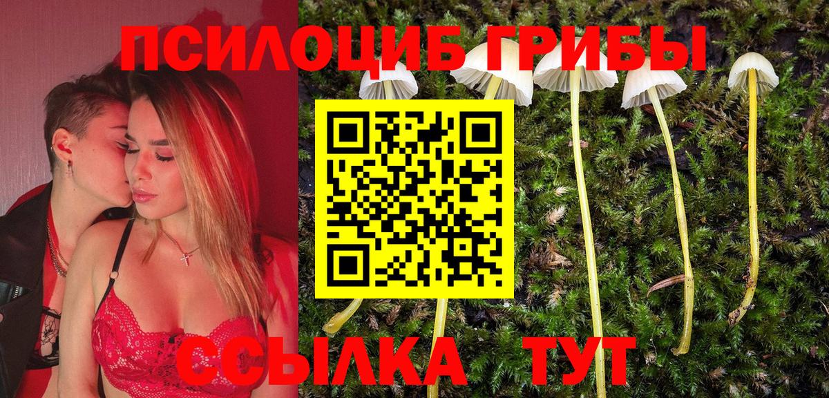 Галлюциногенные грибы Cubensis  Вход с VPN  Калуга 